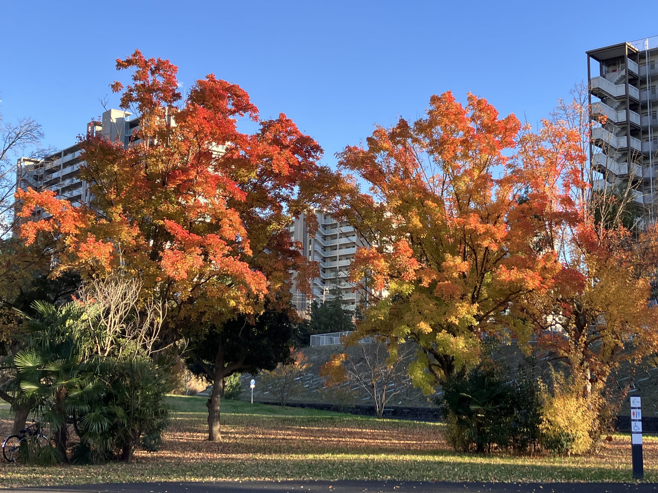 永山北公園