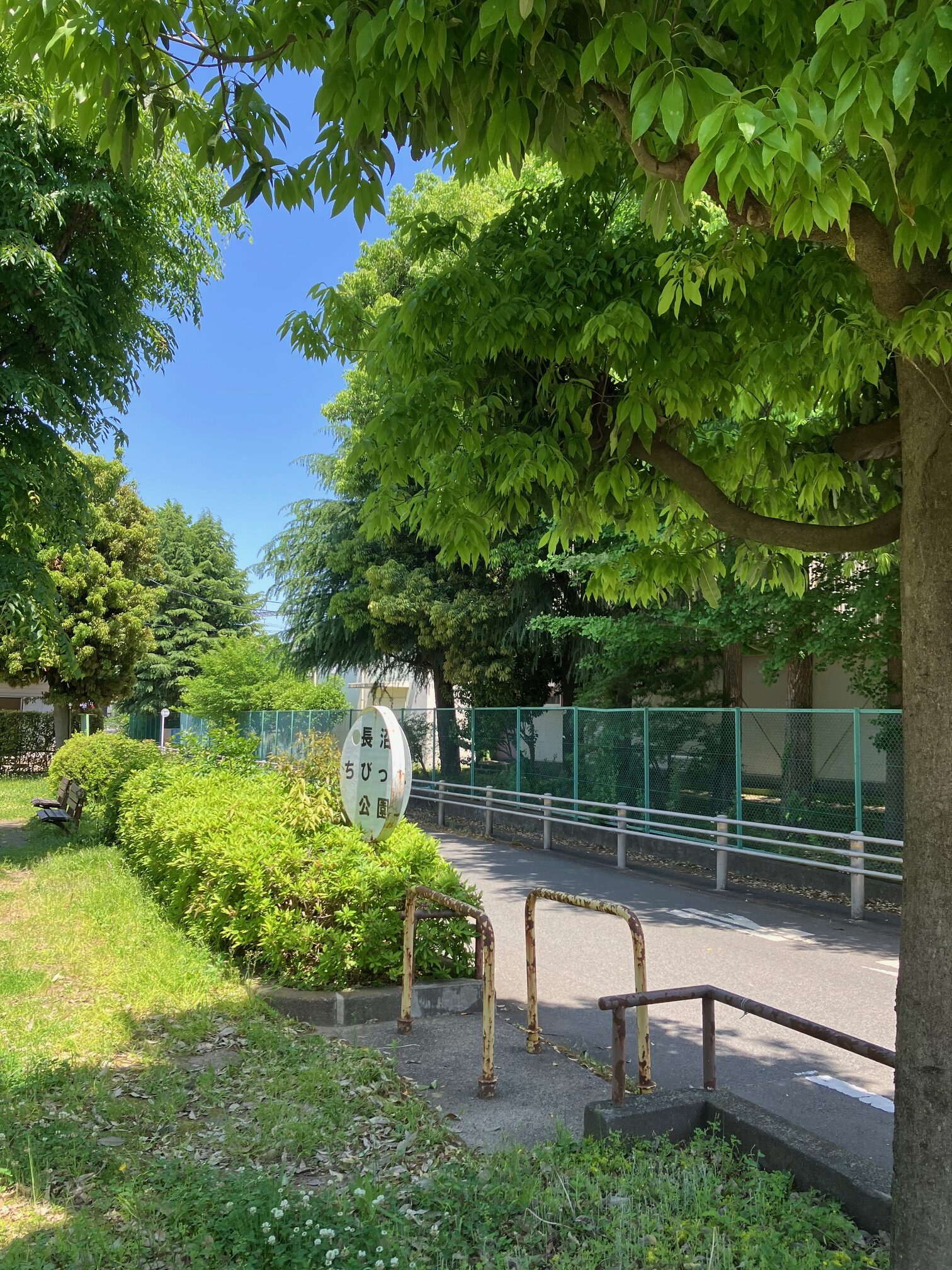 母校長沼小学校横の公園